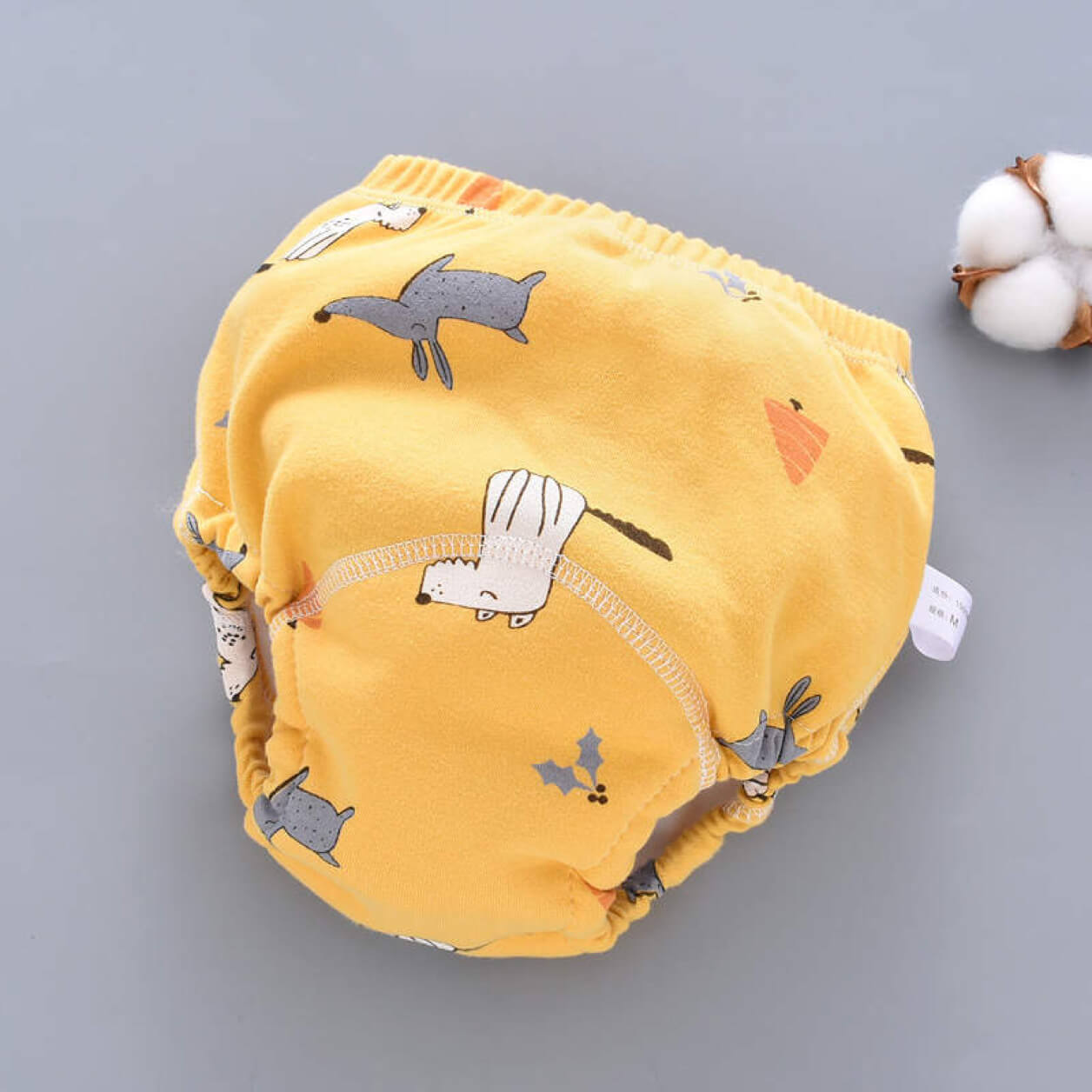 Potty training pants
